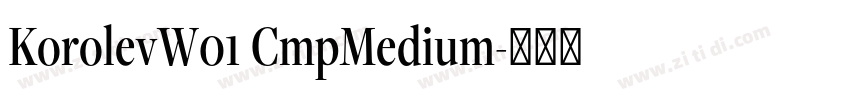 KorolevW01 CmpMedium字体转换